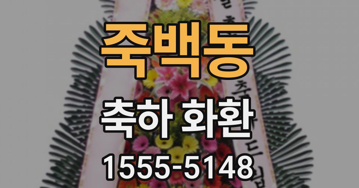 죽백동 축하 화환