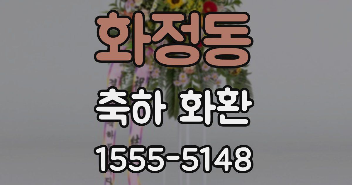 화정동 축하 화환