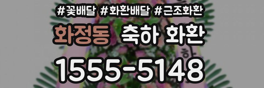 화정동 축하 화환