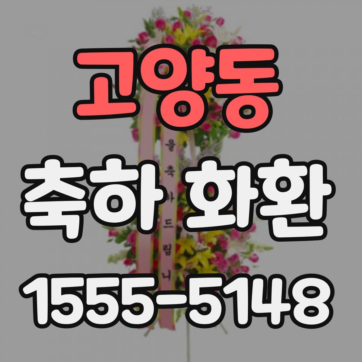 고양동 축하 화환