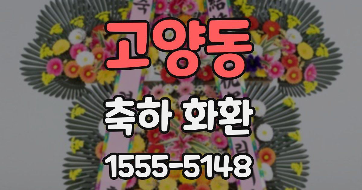 고양동 축하 화환