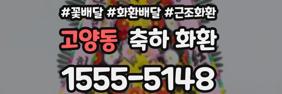 고양동 축하 화환