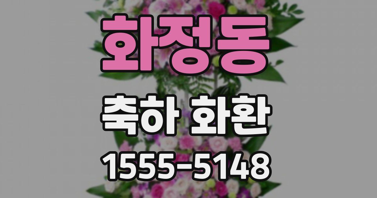 화정동 축하 화환