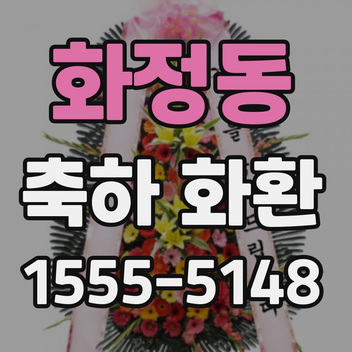 화정동 축하 화환