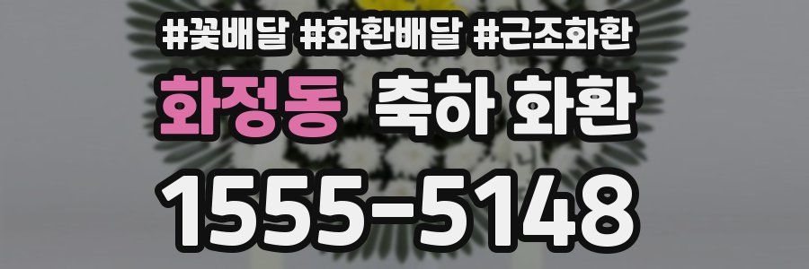 화정동 축하 화환