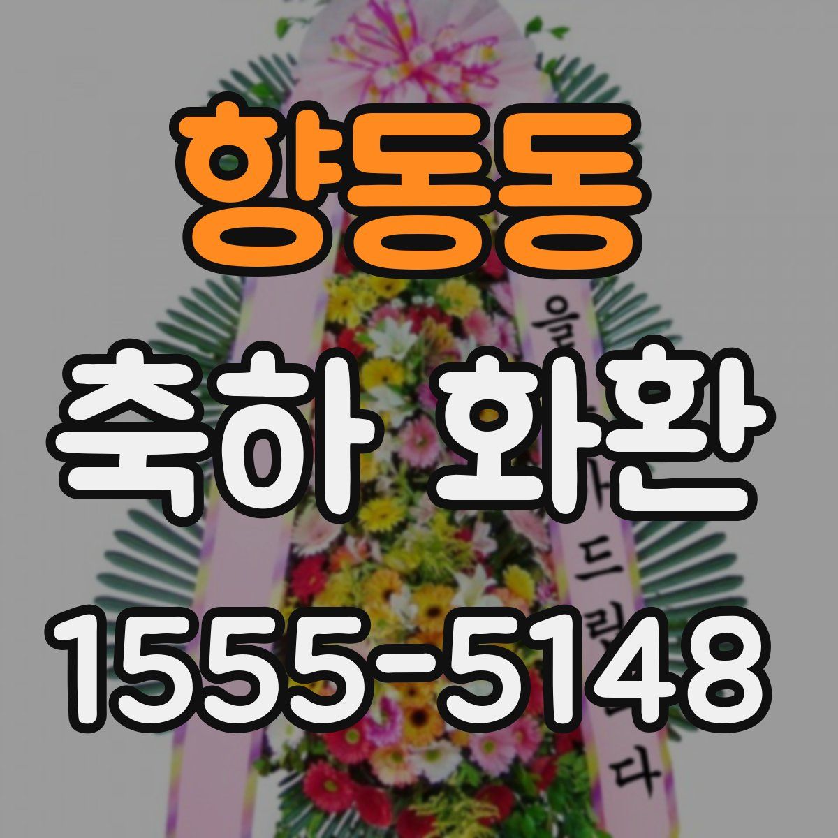 향동동 축하 화환