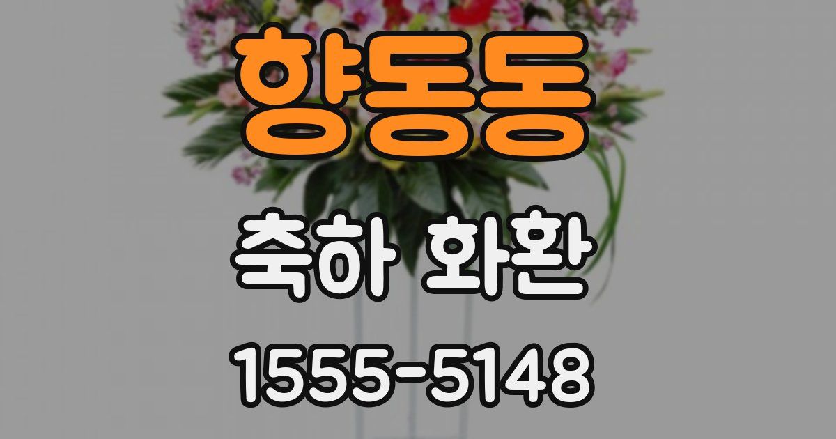 향동동 축하 화환