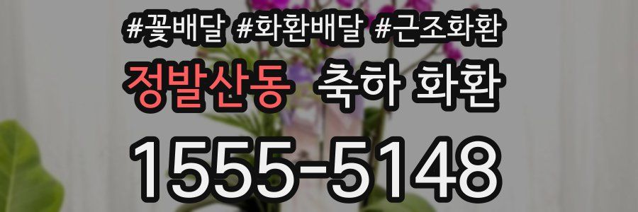 정발산동 축하 화환