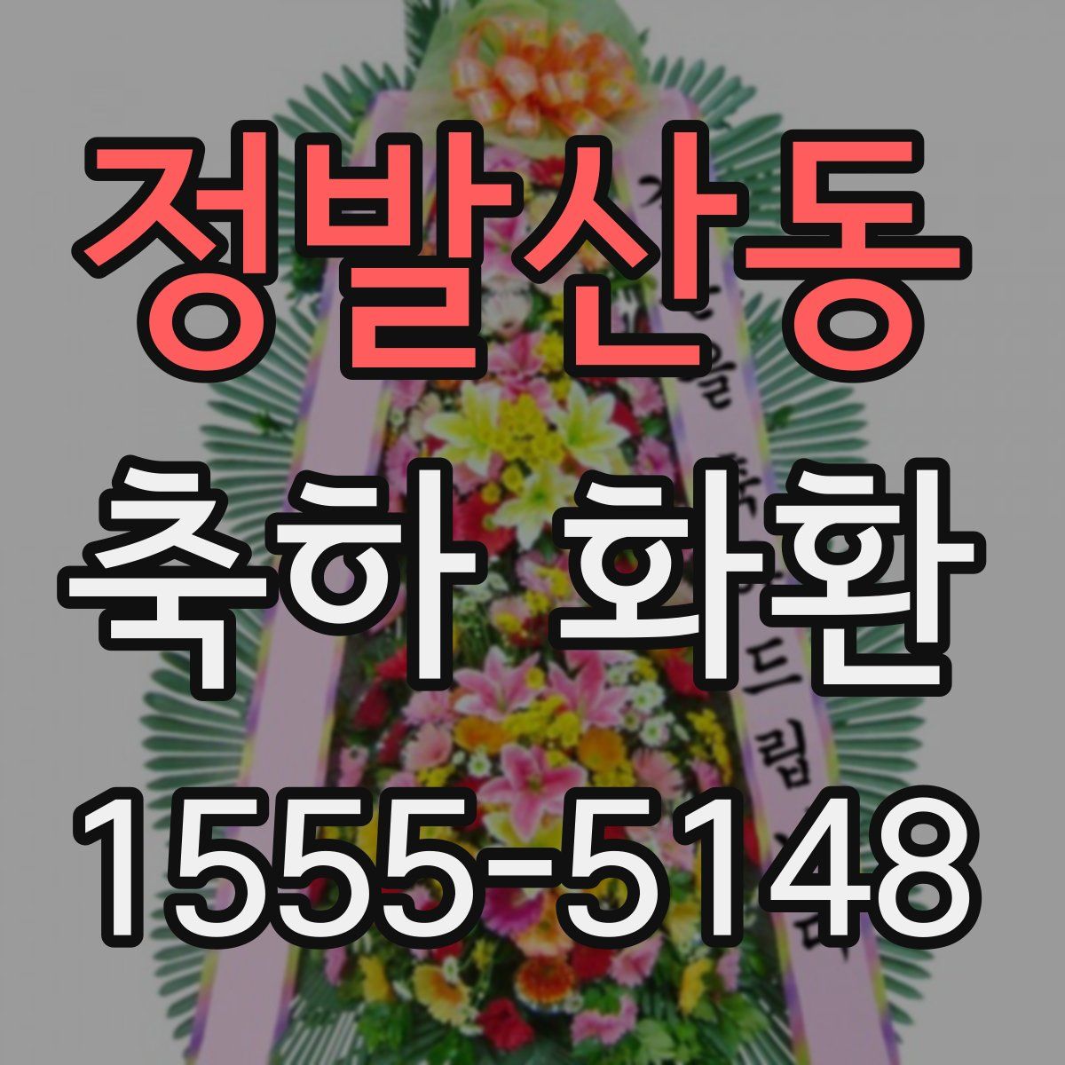 정발산동 축하 화환