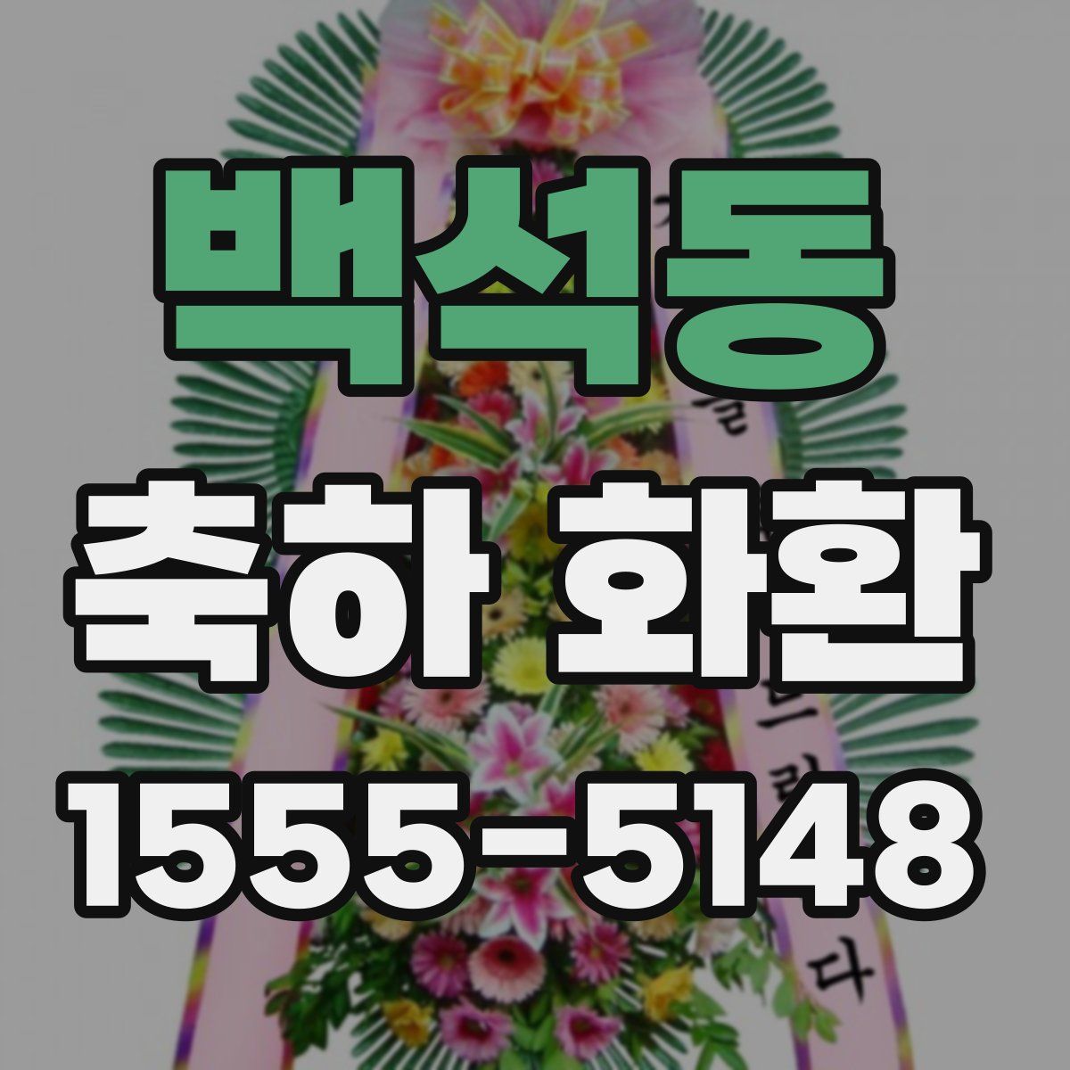 백석동 축하 화환