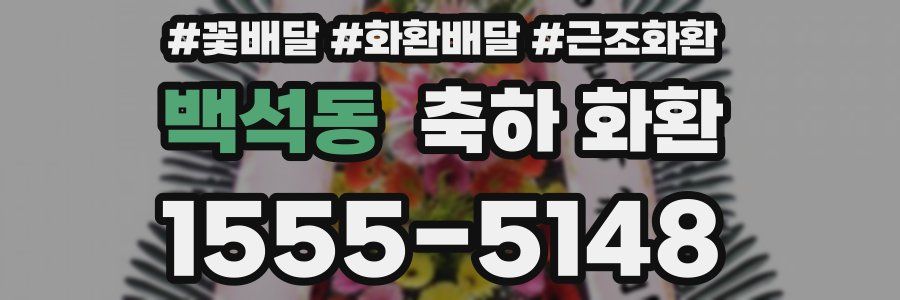 백석동 축하 화환