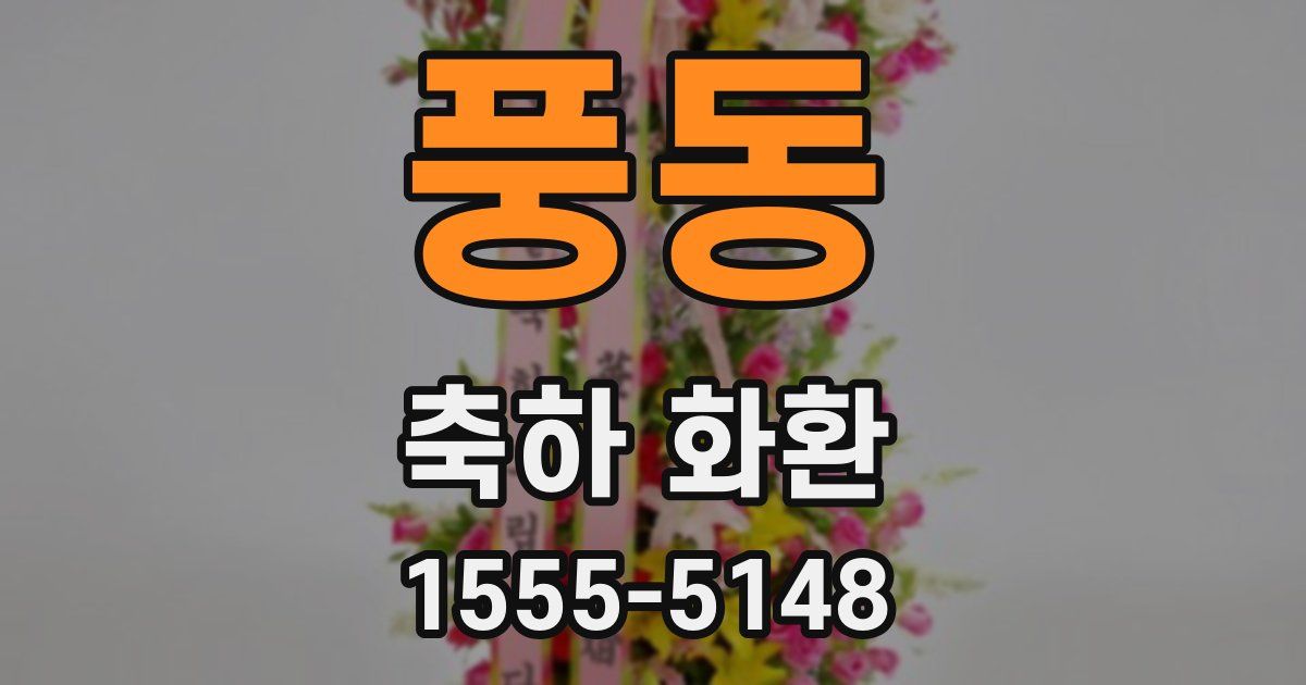 풍동 축하 화환