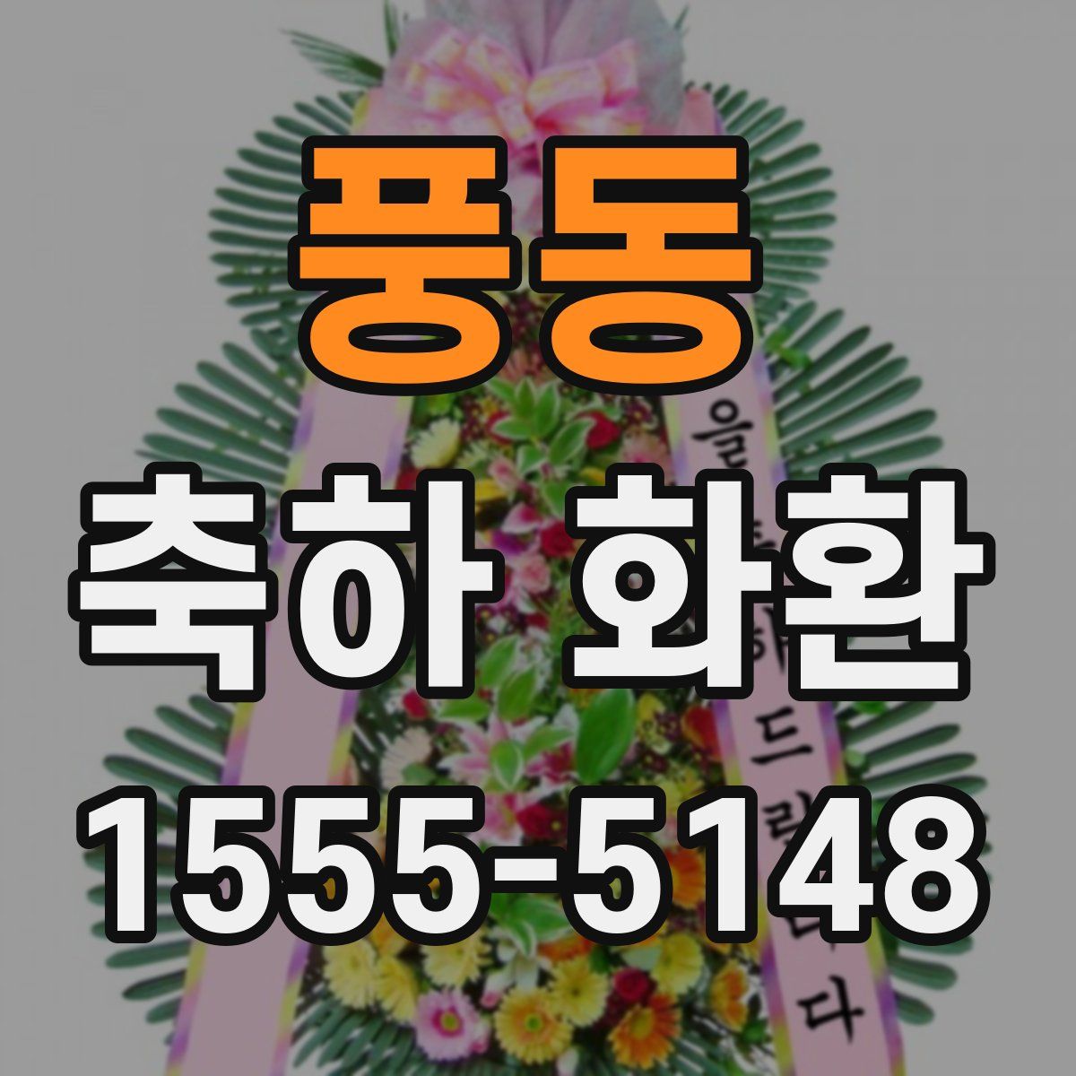 풍동 축하 화환