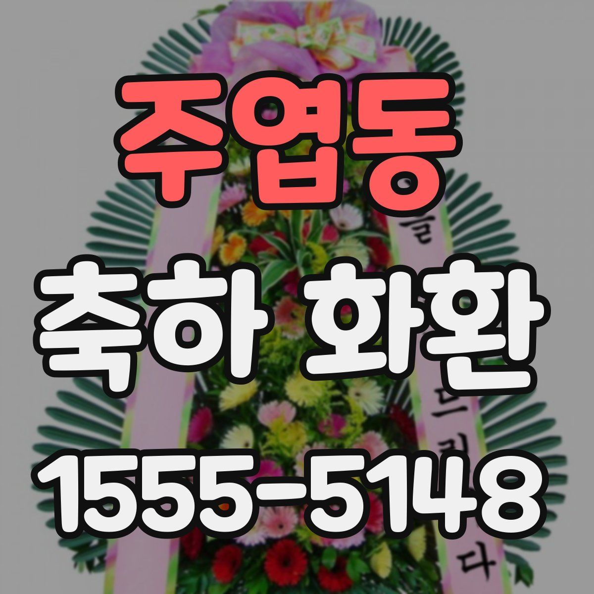 주엽동 축하 화환