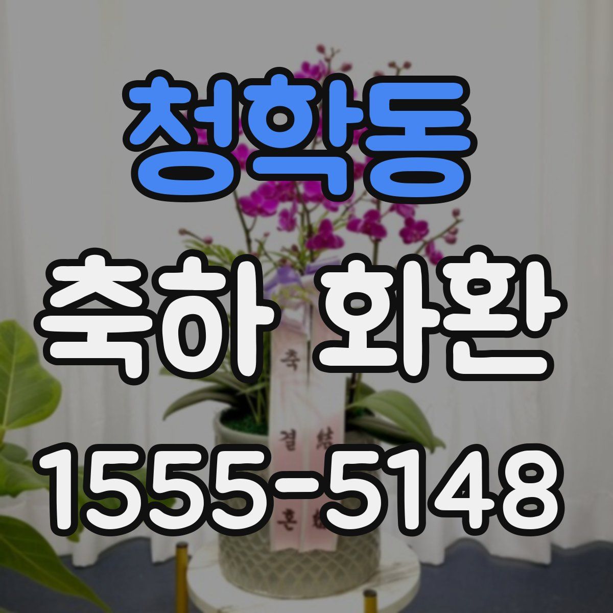 청학동 축하 화환