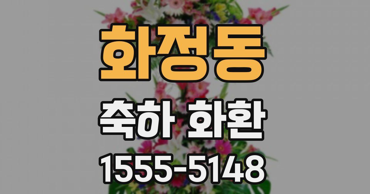 화정동 축하 화환