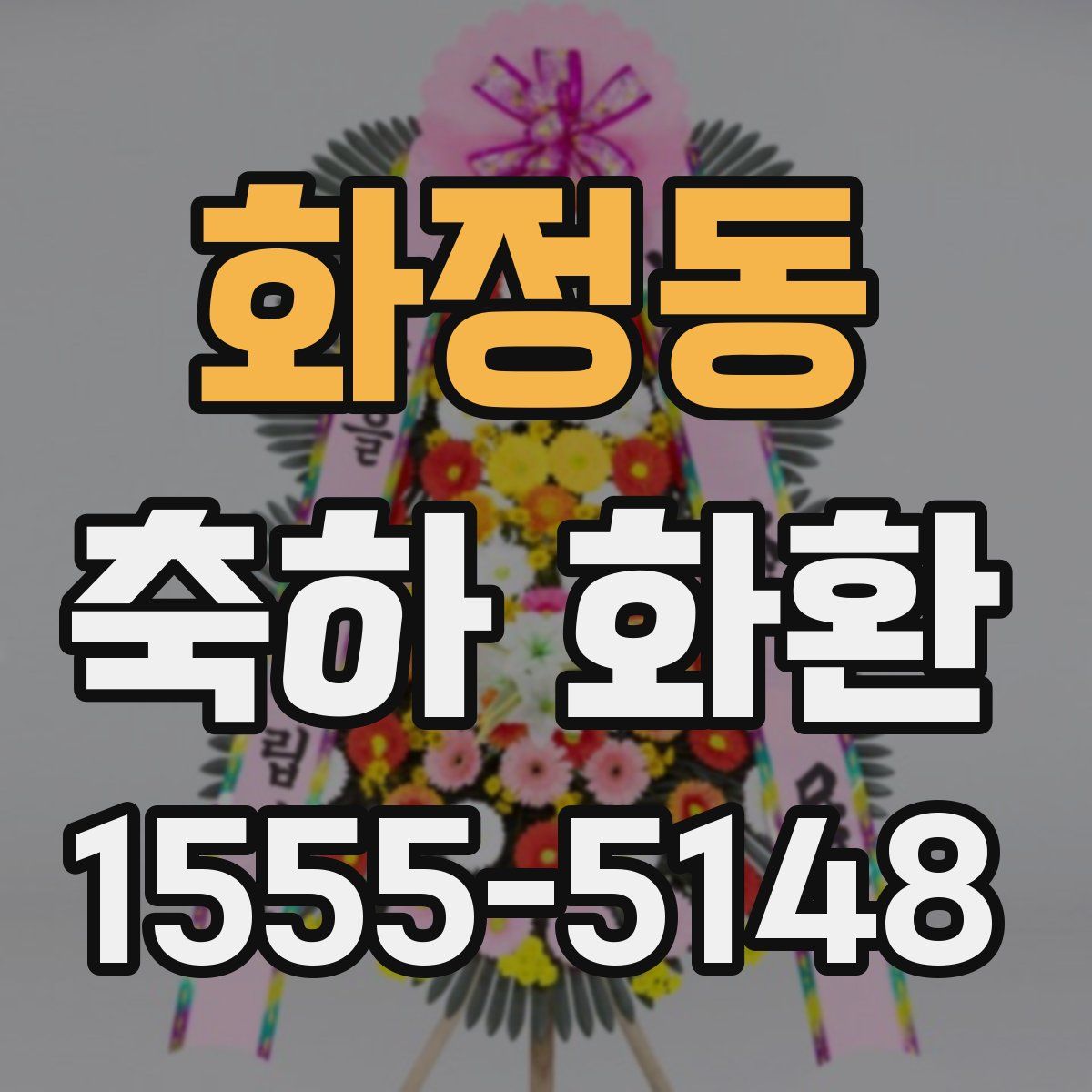 화정동 축하 화환