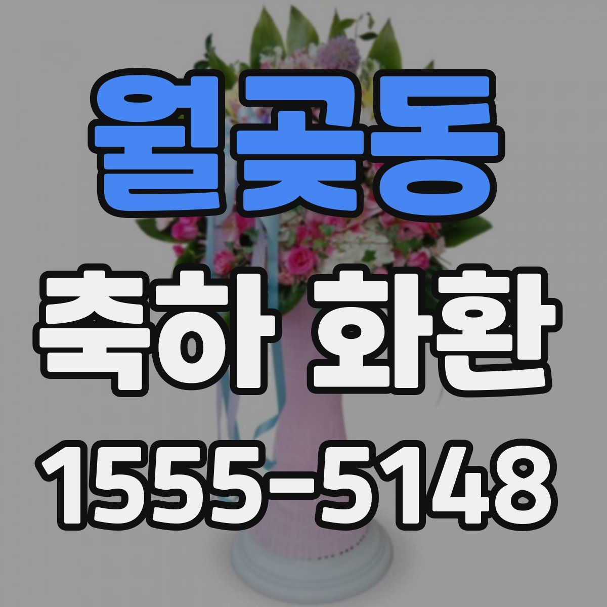 월곶동 축하 화환