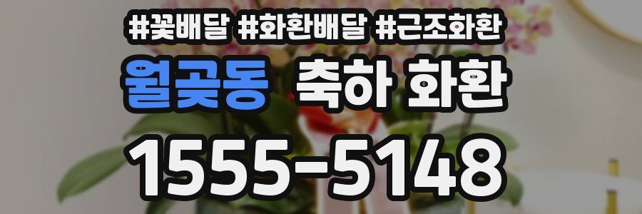 월곶동 축하 화환