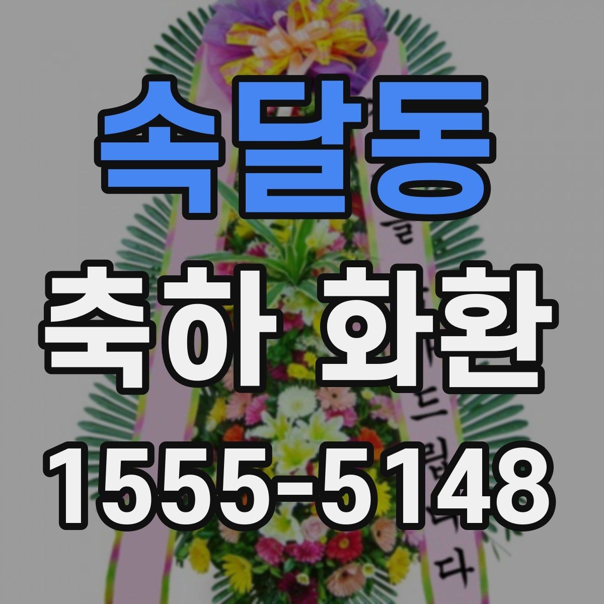 속달동 축하 화환 실제 주문 전 비교할 사항