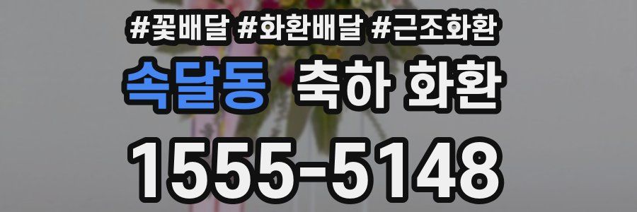 속달동 축하 화환