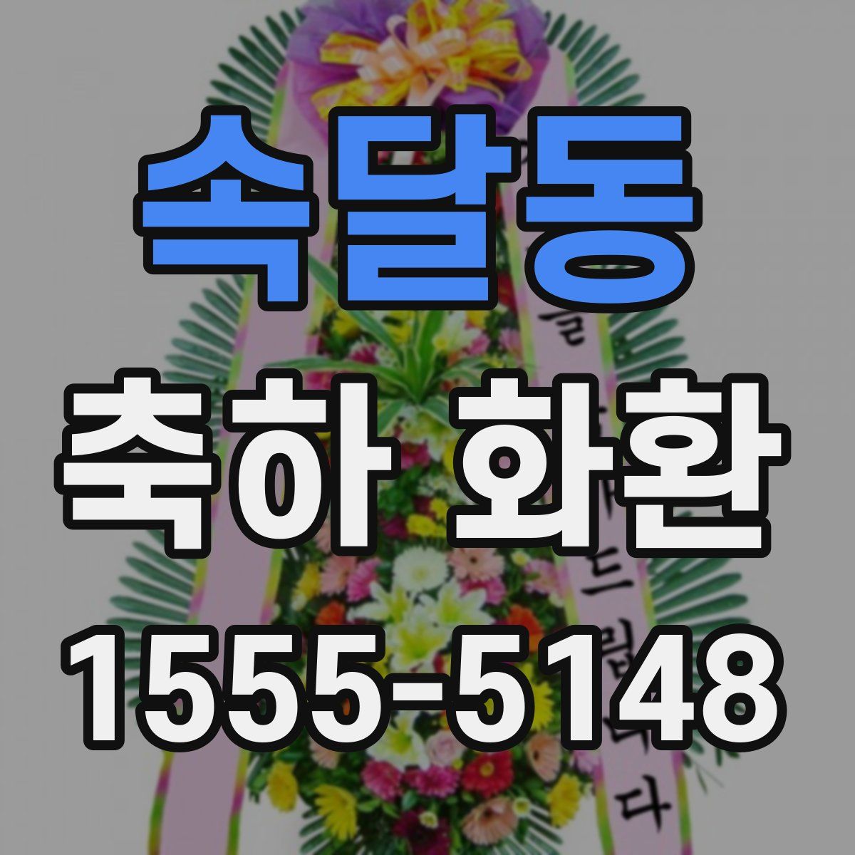 속달동 축하 화환