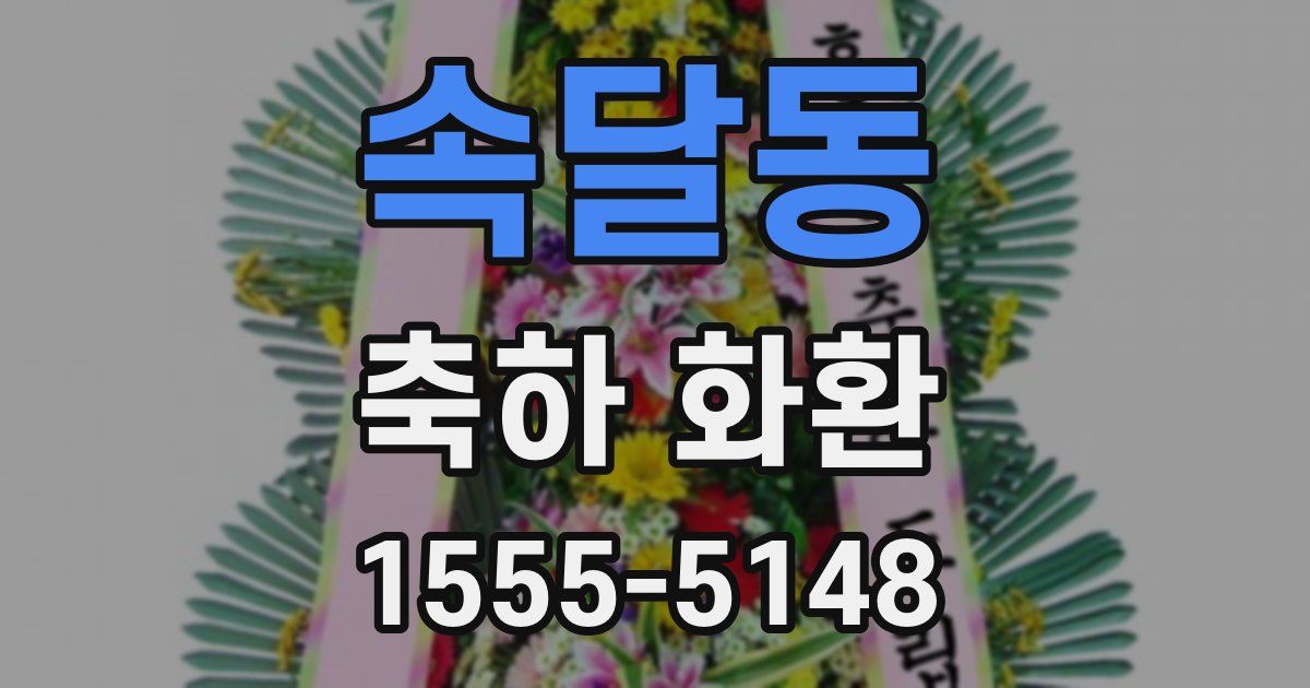 속달동 축하 화환