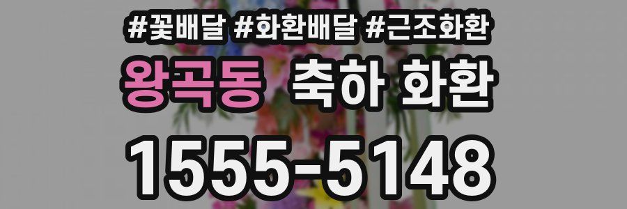 왕곡동 축하 화환