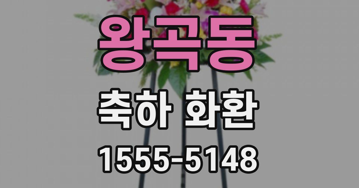 왕곡동 축하 화환
