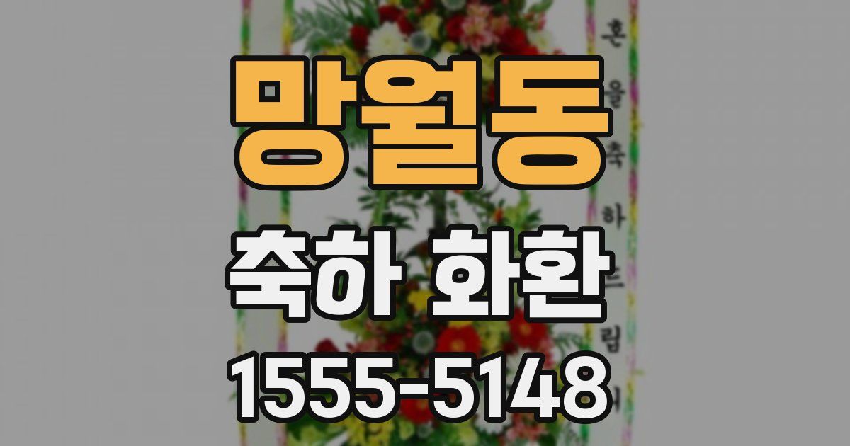 망월동 축하 화환