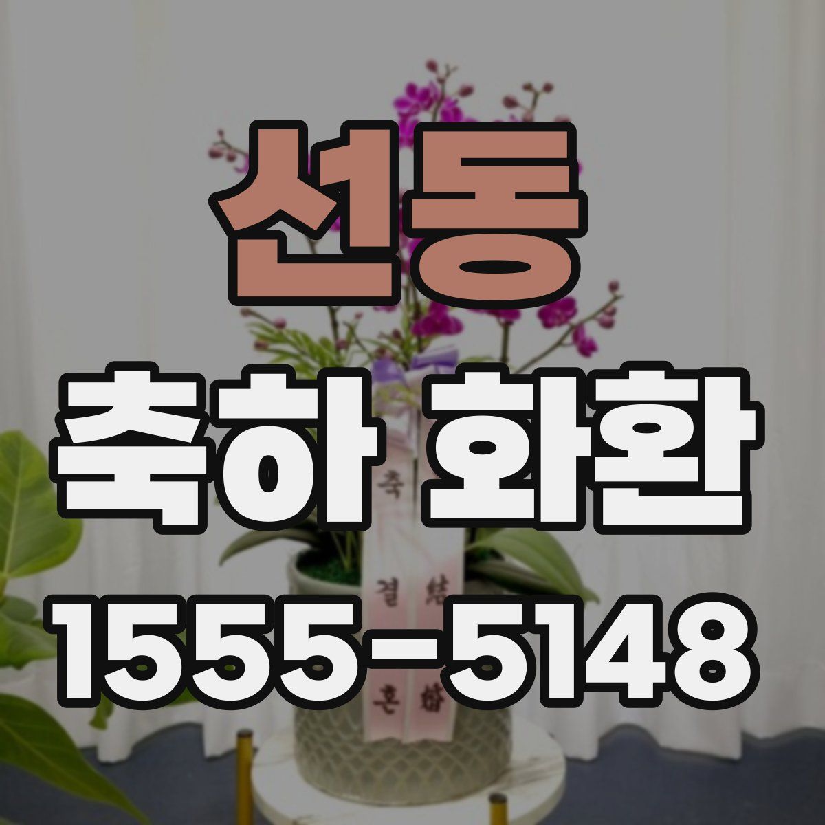 선동 축하 화환