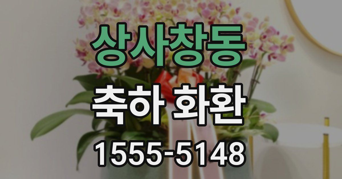 상사창동 축하 화환