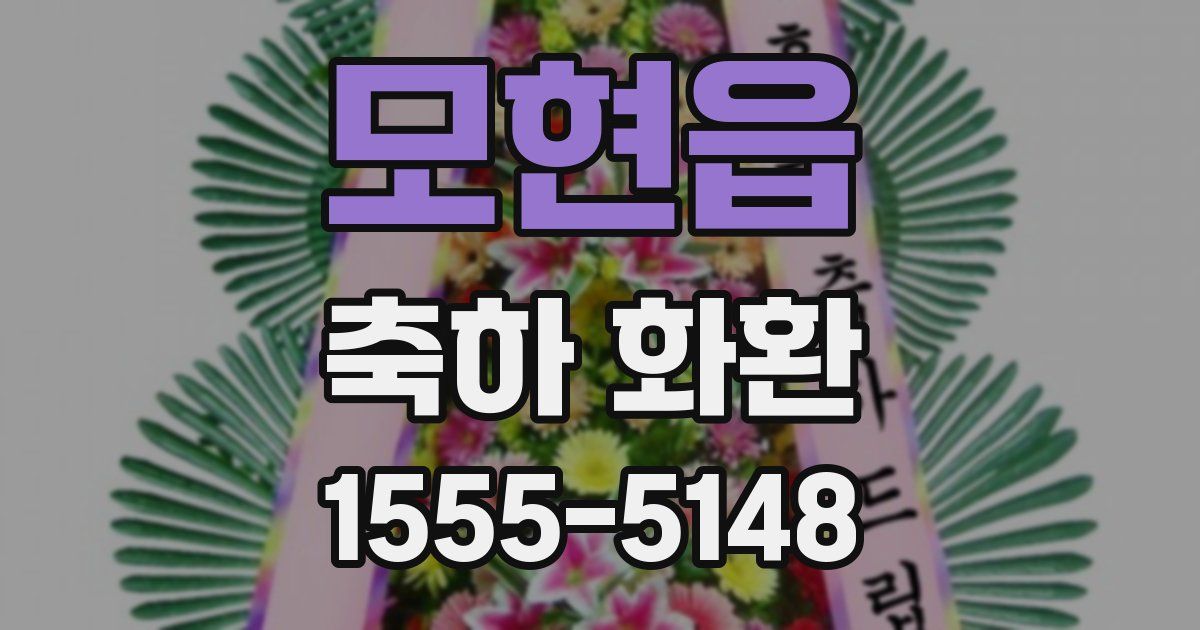 모현읍 축하 화환