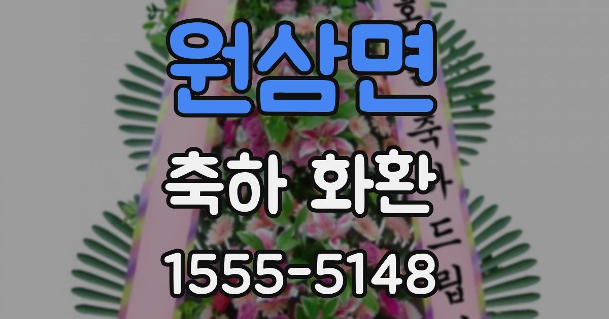 원삼면 축하 화환