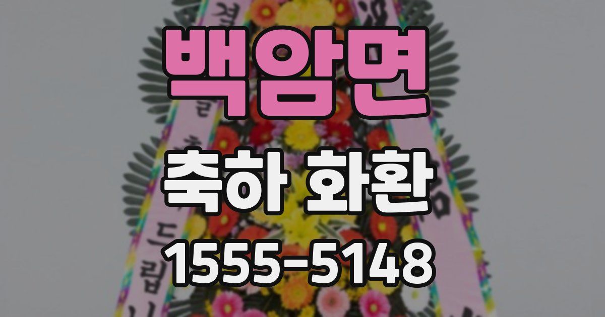 백암면 축하 화환