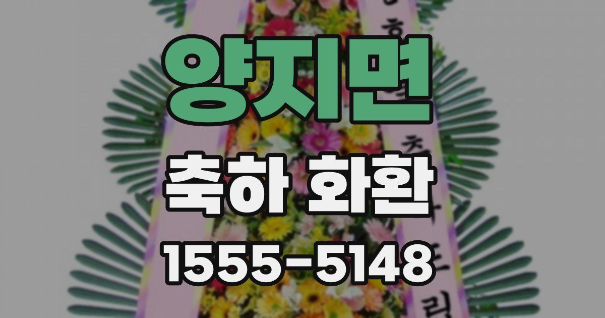 양지면 축하 화환