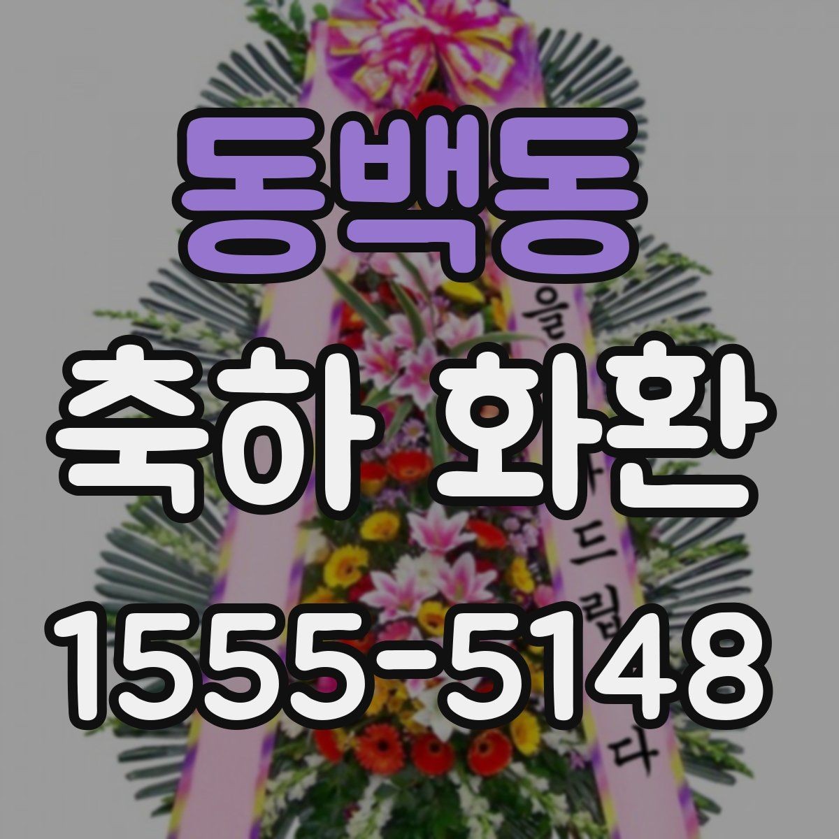 동백동 축하 화환 비교 포인트를 한눈에 정리