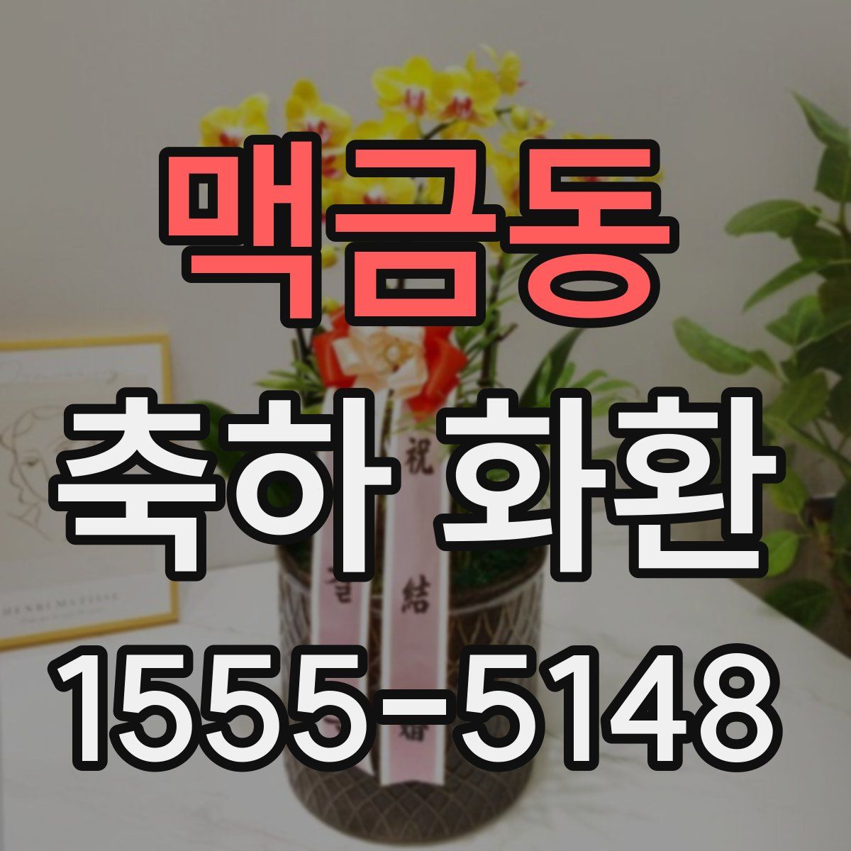 맥금동 축하 화환