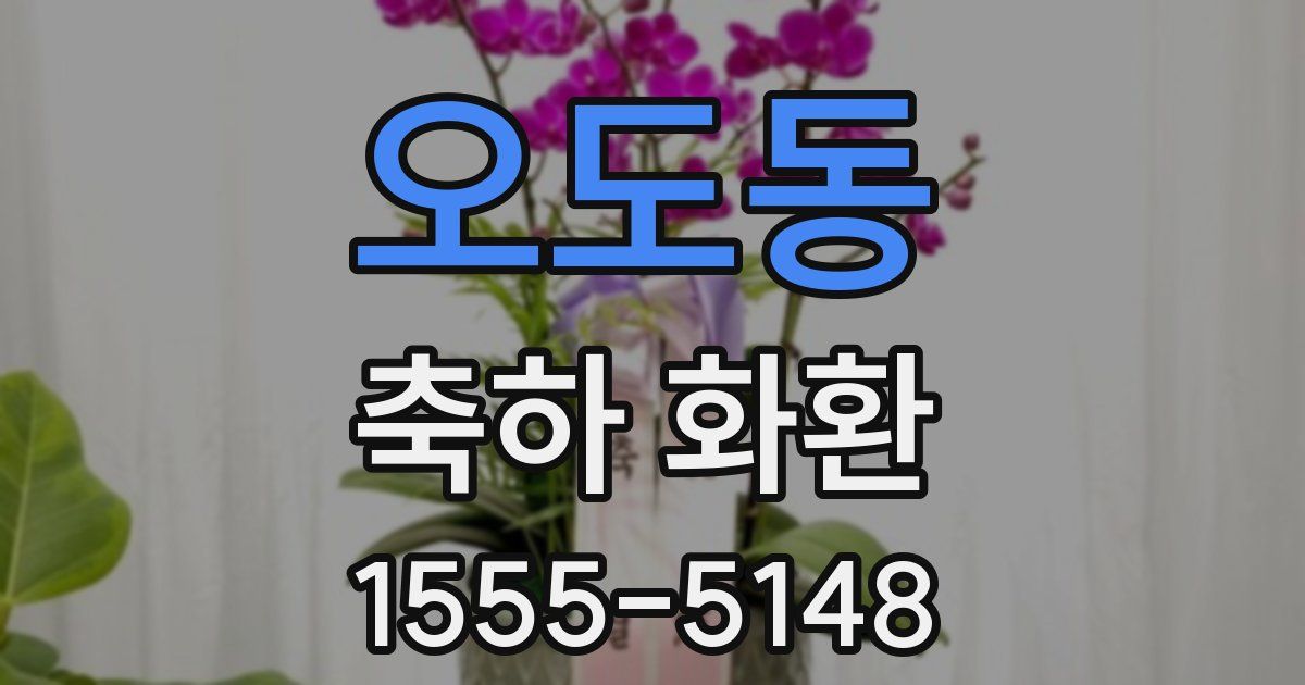 오도동 축하 화환