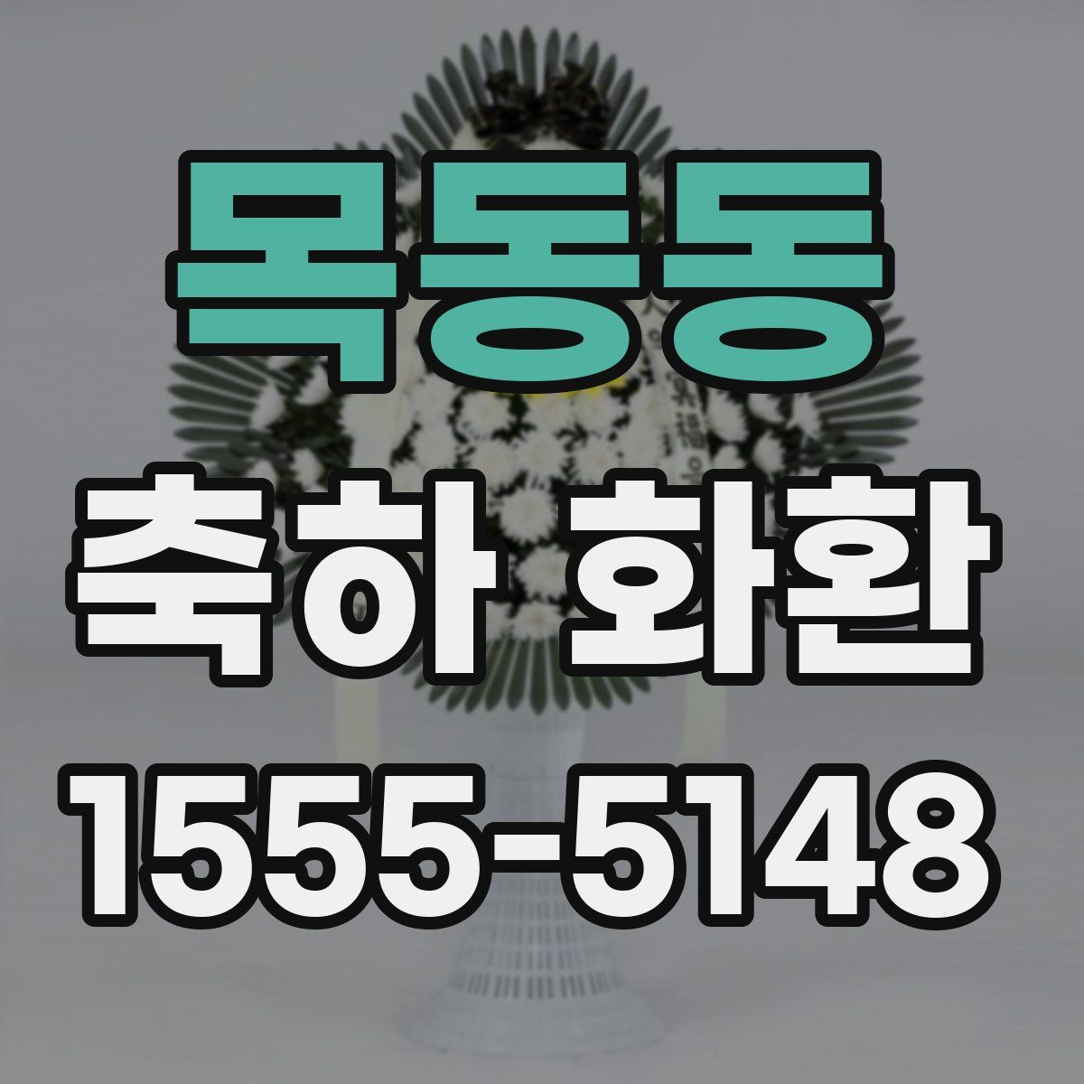 목동동 축하 화환