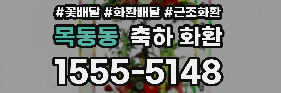 목동동 축하 화환