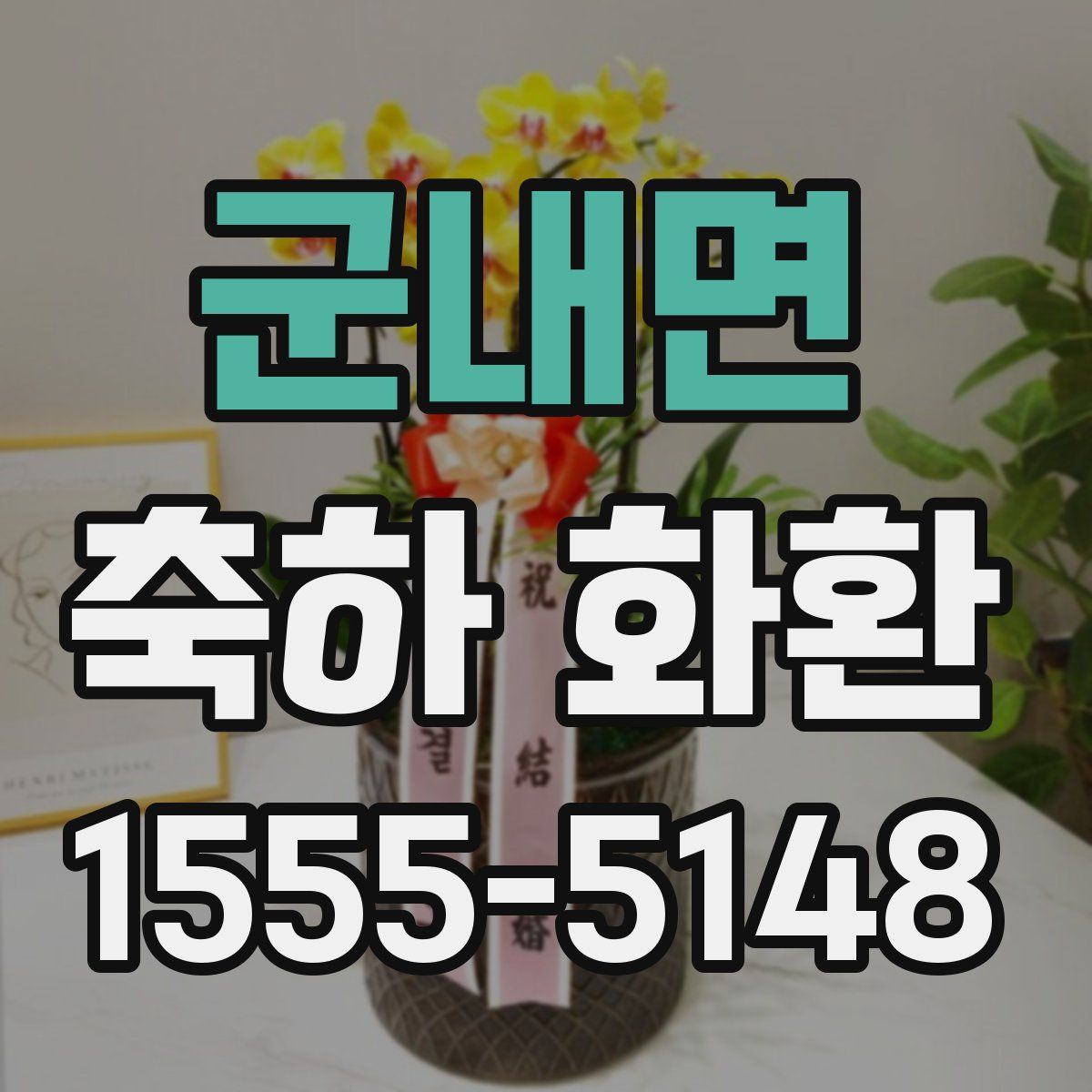 군내면 축하 화환
