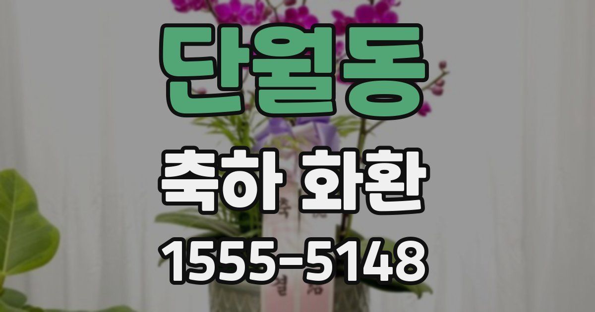 단월동 축하 화환