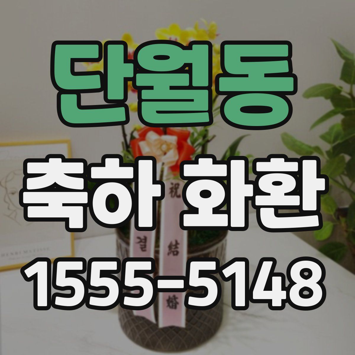 단월동 축하 화환