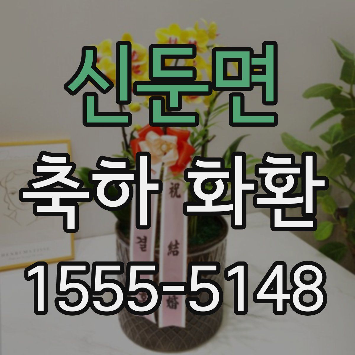 신둔면 축하 화환