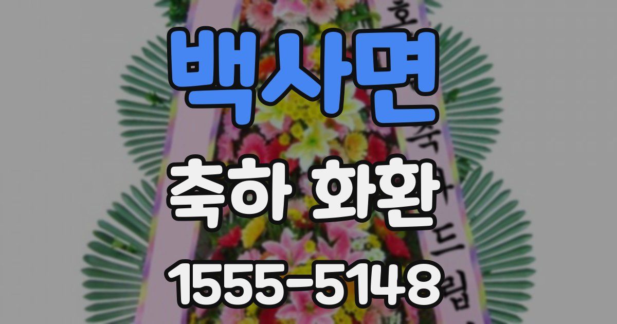 백사면 축하 화환
