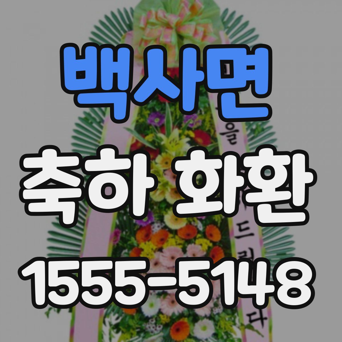 백사면 축하 화환