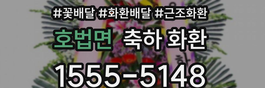 호법면 축하 화환