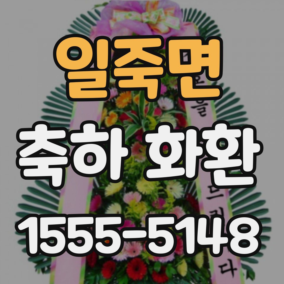 일죽면 축하 화환