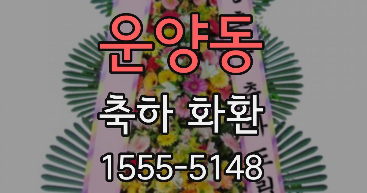 운양동 축하 화환